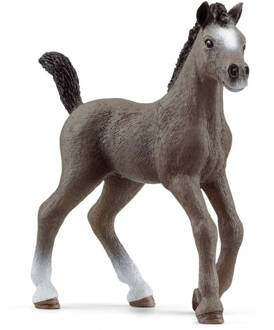 Schleich HORSE CLUB Francais Veulen 13957