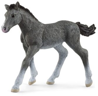 Schleich Horse Club Trakehner Veulen - 13944