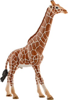 Schleich Safari - Giraf, Stier 14749 Wit