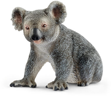 Schleich Safari - Koala 14815 Grijs