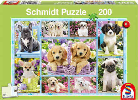 Schmidt Puppies Puzzel - 200 Stukjes