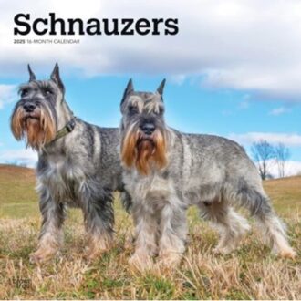 Schnauzers 2025 12 X 24 Inch Monthly Square Wall Calendar Plastic-Free - Browntrout