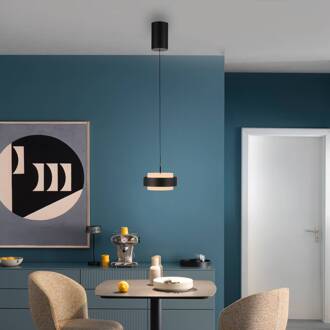 Schöner Wohnen LED hanglamp Elmo, zwart, 1-lamp, 3000 K