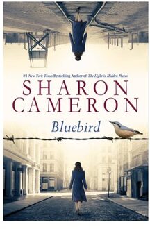 Scholastic Bluebird - Sharon Cameron
