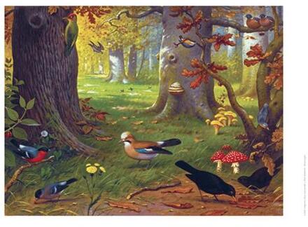 Schoolplaat Boschvogels -   (ISBN: 9789492033277)