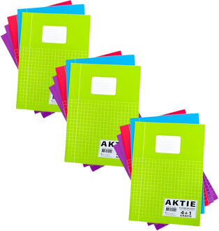 Schoolschriften - 15x stuks - A4 - ruitjes schrift - wiskunde - gekleurd - rekenschriften voordeelse