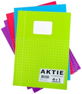 Schoolschriften - 5x stuks - A4 - ruitjes schrift - wiskunde - gekleurd - rekenschriften voordeelset