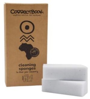 Schoonmaaksponsjes Correctbook doos a 5 stuks