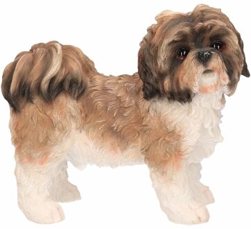 Schoothondje Shih Tzu bruin/wit beeldje 11 cm - Beeldjes Multikleur