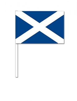 Schotland zwaai vlaggetjes 12 x 24 cm