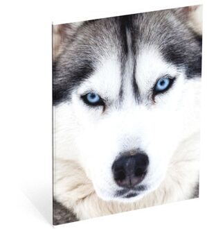 Schrift Wood husky 3-pack A5 gelijnd