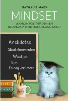 Schrijverspunt Mindset - Nathalie Maes
