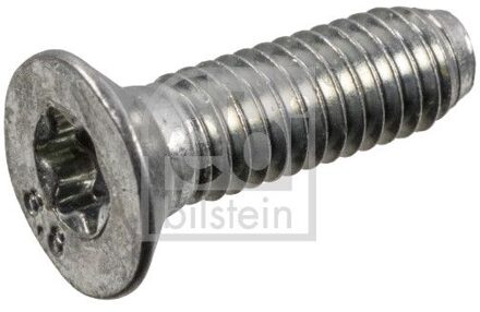 Schroef, remschijf 182593
