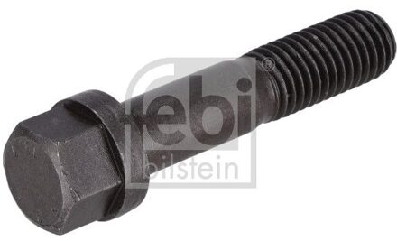 Schroef, remschijf 198998