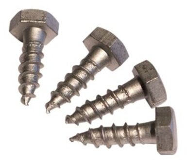 Schroeven tbv palen op paalvoet 10 x 44 mm verzinkt staal (4 stuks) Nikkel