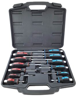 Schroevendraaierset PH en sleuf 12-delig WT8480