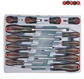 Schroevendraaierset Plat & Philips 14 delig 2142