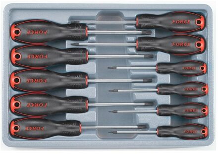 Schroevendraaierset torx met gat 11 delig 2119T