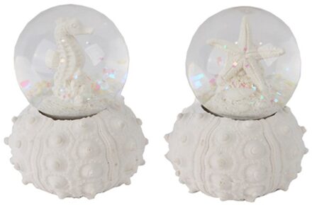 Schudbal zeester of zeepaard Ø4,5x7cm