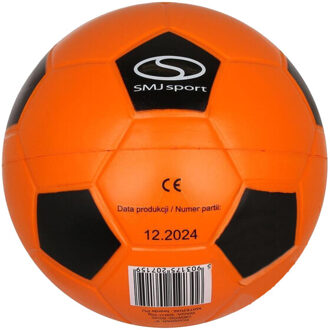 Schuimmeester handbal Oranje - One size