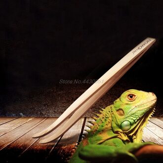 Schuine Reptiel Terrarium Voeden Tang Pincet Milieuvriendelijke Bamboe Feeding Tool