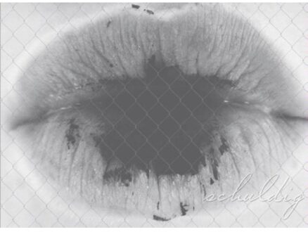 Schuldig - Boek Isay Noir (9461938276)