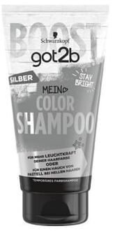 Schwarzkopf got2b Hair Color Shampoo Silver - 150ml