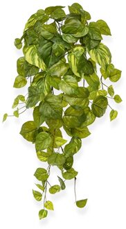 Scindapsus Pothos Hangplant 55 cm - Kunstplant