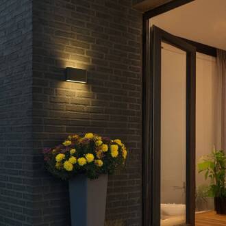 Scone LED buitenwandlamp, zwart, breedte 17,5 cm, 2-lamps. zandzwart