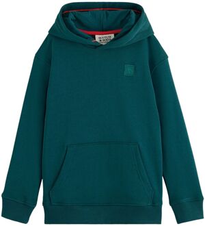 Scotch & Soda Hoodie Junior groen - 104