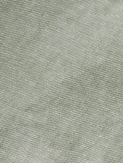 Scotch & Soda Shorts Groen