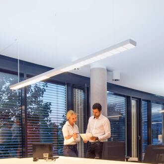 Scriptus slinger symmetrisch EVG DALI 265cm wit