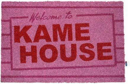 SD Toys Dragon Ball Kame House doormat