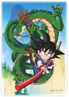 SD Toys Dragon Ball Magnet Shenron and Goku
