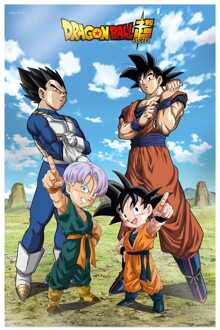 SD Toys Dragon Ball Super 3D Poster Battle of Gods Goku Vegeta Family 38 x 58 cm