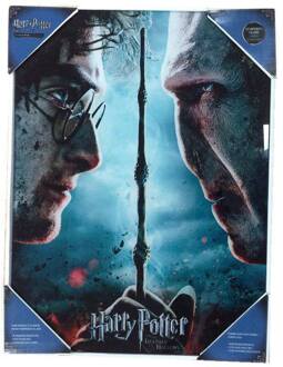 SD Toys Harry Potter Glass Poster Harry & Voldemort 30 x 40 cm