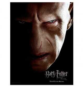 SD Toys Harry Potter Glass Poster Voldemort 30 x 40 cm