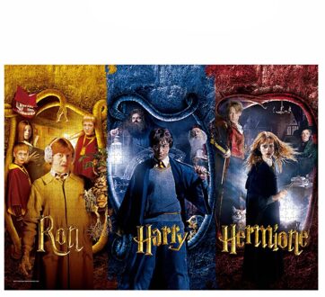 SD Toys Harry Potter - Harry, Ron & Hermione -Puzzle 1000p