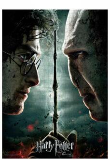 SD Toys Harry Potter: Harry Vs Voldemort Puzzle 1000p