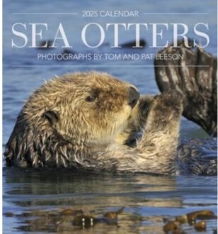 Sea Otters - Leeson, Tom