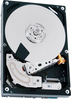 Seagate Constellation.2 - 1000 GB