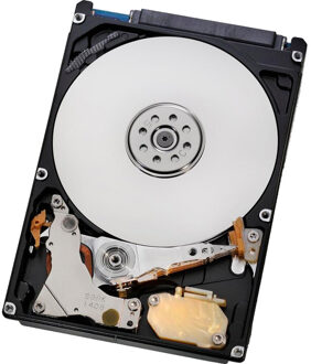 Seagate Constellation.2 - 500 GB