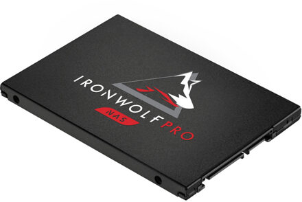 Seagate IronWolf 125  Pro 960 GB