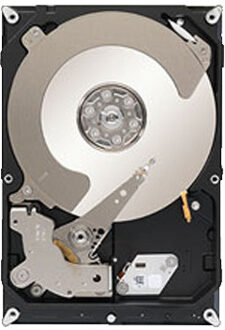 Seagate Terascale HDD - 4000 GB