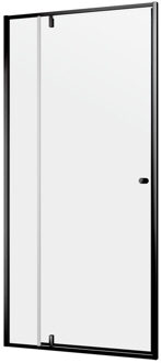 Sealskin get wet Contour draaideur voor nis 100 cm, 200 cm hoog, zwart, 6 mm helder veiligheidsglas