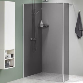 Sealskin Inloopdouche Mix&match 118x200cm - Geborsteld Rvs Profiel - 8 Mm Grijs Glas