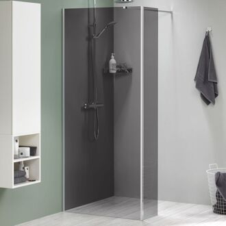 Sealskin Inloopdouche Mix&match 98x200cm - Geborsteld Rvs Profiel - 8 Mm Grijs Veiligheidsglas