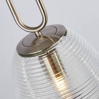 Searchlight Hanglamp Elixir, nikkelkleurig/helder, glas, Ø 24 cm, E27 nikkel, helder