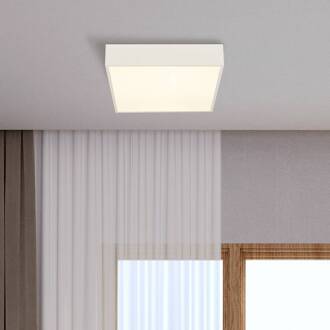 Searchlight LED badkamer plafondlamp Zeus, wit, lengte 30 cm, metaal wit, opaal