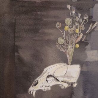 Seasonal Hire - Steve Gunn & Black Twig Pickers